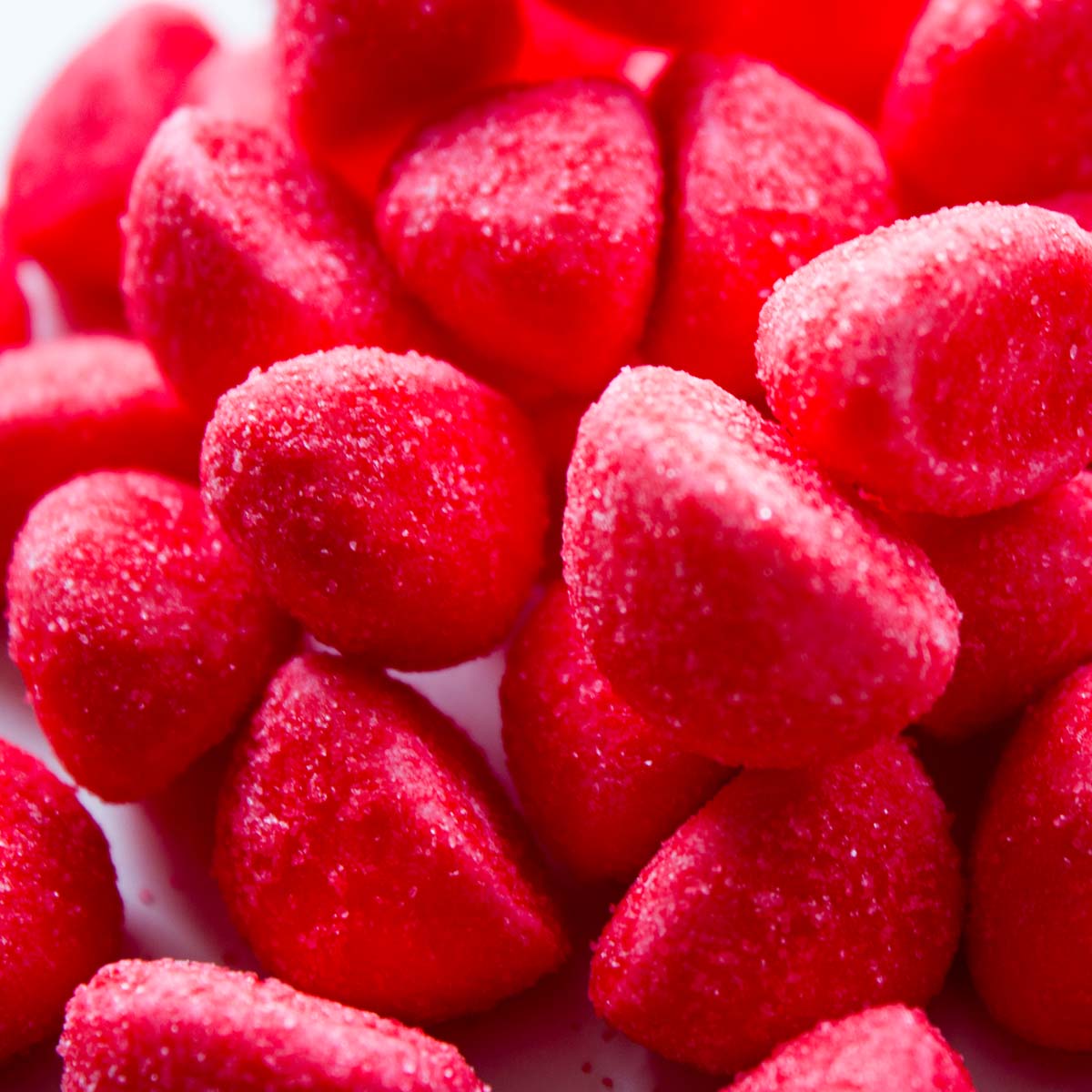 Primavera Erdbeeren
